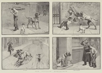 Der gestohlene Sirloin